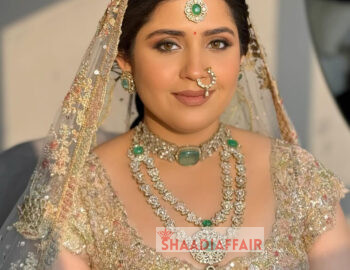 somyaarorastudio_544410821