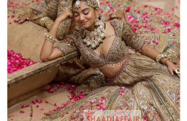 aashnidesignco_612246499