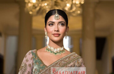 meerasakhrani_573970355